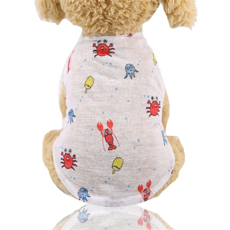 5 Colors Summer Lovely Cartoon - Winter Clothing Colors review and price