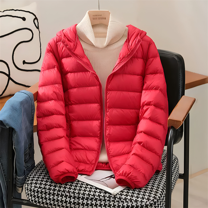 Plus Size Women Hooded Korean  - Puffer Jacket Women Down review and price
